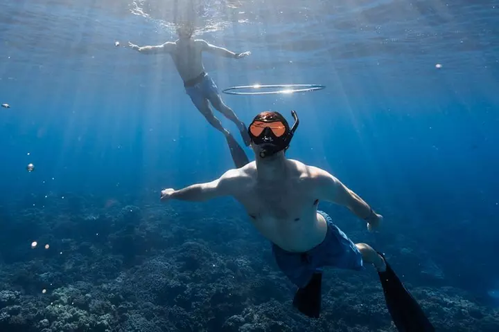 Private Kealakekua Bay Snorkel with Dolphin Watch
