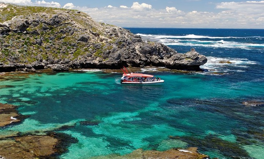 Image 2: Adventure Rottnest Tour with Ferry & Adventure Cruise