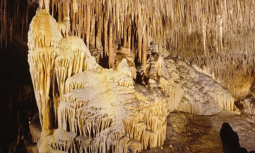 Image 7: Excursión de día completo a las cuevas dels Hams y Drach con Puerto...