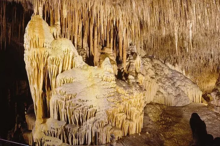 Excursión de día completo a las cuevas de Mallorca : Drach, Hams & ...