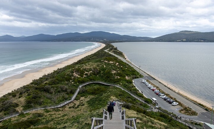 Image 20: Bruny Island Nature and Tasting Active Day Tour