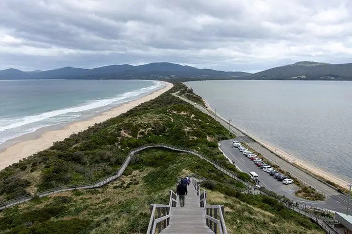 Hobart: Bruny Island Adventure: Hiking, Highlights & Local tastes