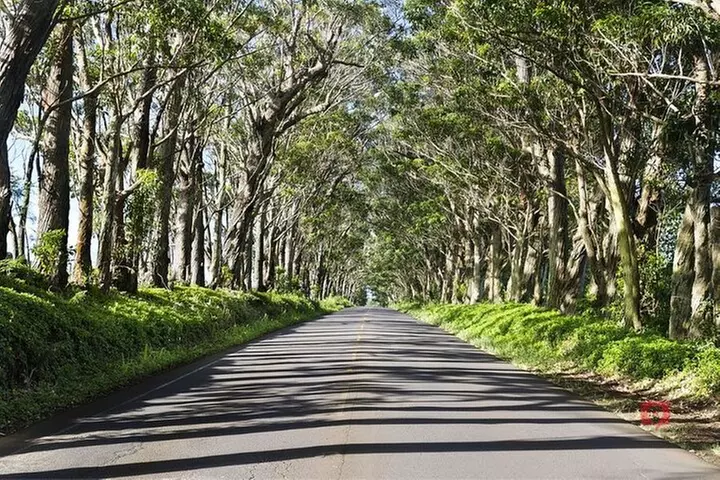 Self-Guided Audio Driving Tour in Kauai