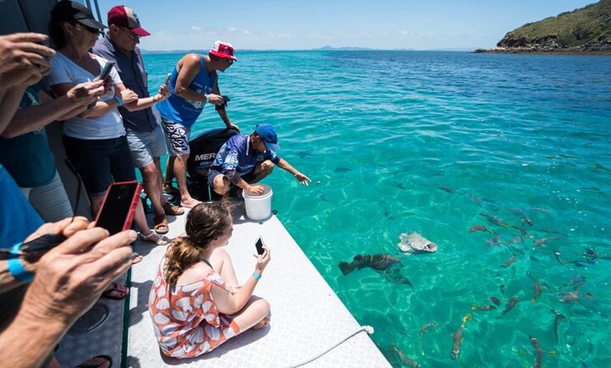 Image 2: Great Keppel Island Glass Bottom Boat Tour & Ferry Transfer