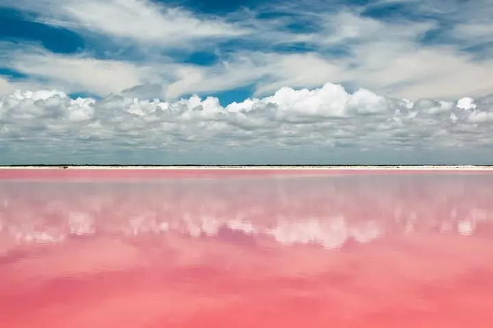 Nature Tour at Las Coloradas and Rio Lagartos Biosphere