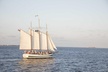 Afternoon Schooner Sightseeing Dolphin Cruise on Charleston Harbor - Second Medium