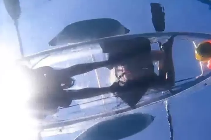 Clear Bottom Glassy Kayak Rental | MAUI | Safe and Stable Kayaks