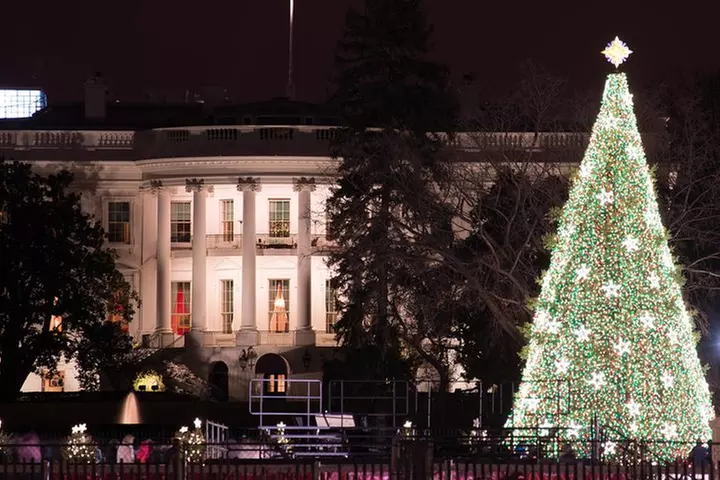 Washington DC Christmas Lights Walking Tour - Primary Image