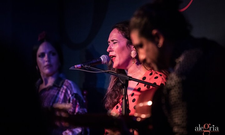 Image 5: Espectáculo auténtico de flamenco. Alegria y gastronomia Málaga