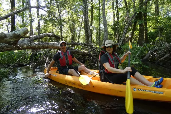 Exclusive Nature Escape Kayak Adventure on Blackwater Creek