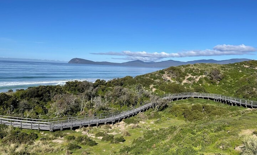 Image 23: Bruny Island Nature and Tasting Active Day Tour