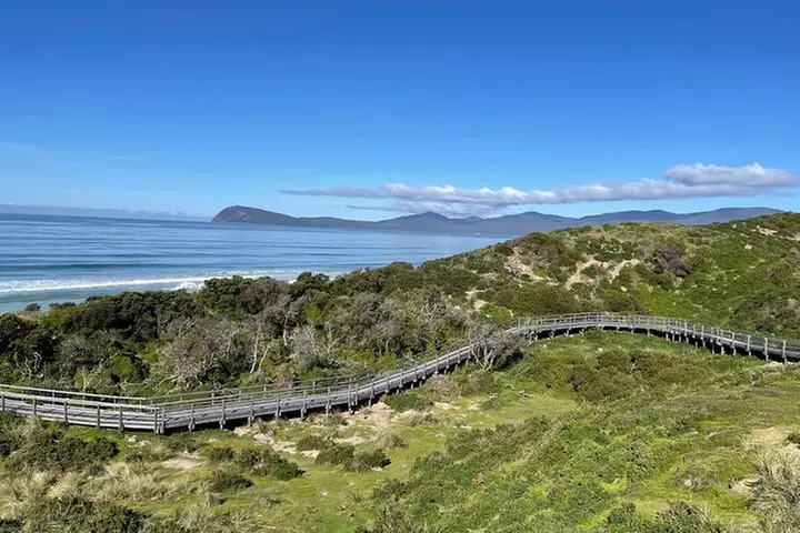 Hobart: Bruny Island Adventure: Hiking, Highlights & Local tastes