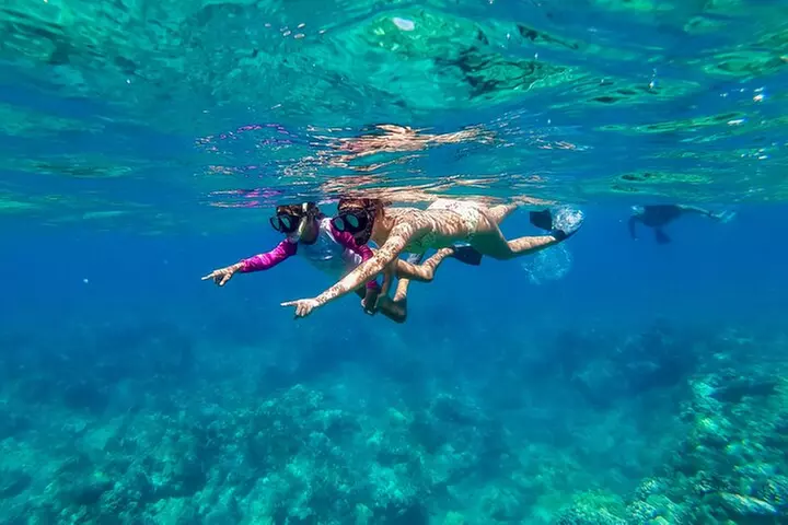 Big Island Snorkel Cruise from Waikoloa - Primary Image
