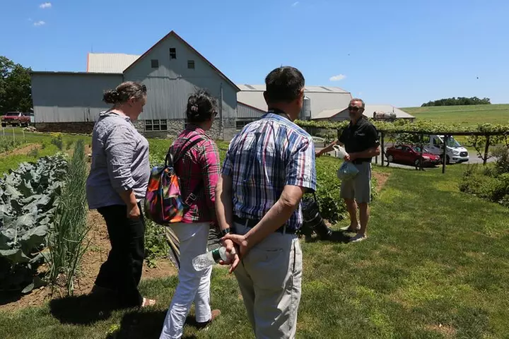 Authentic Tour & Meal with the Amish!