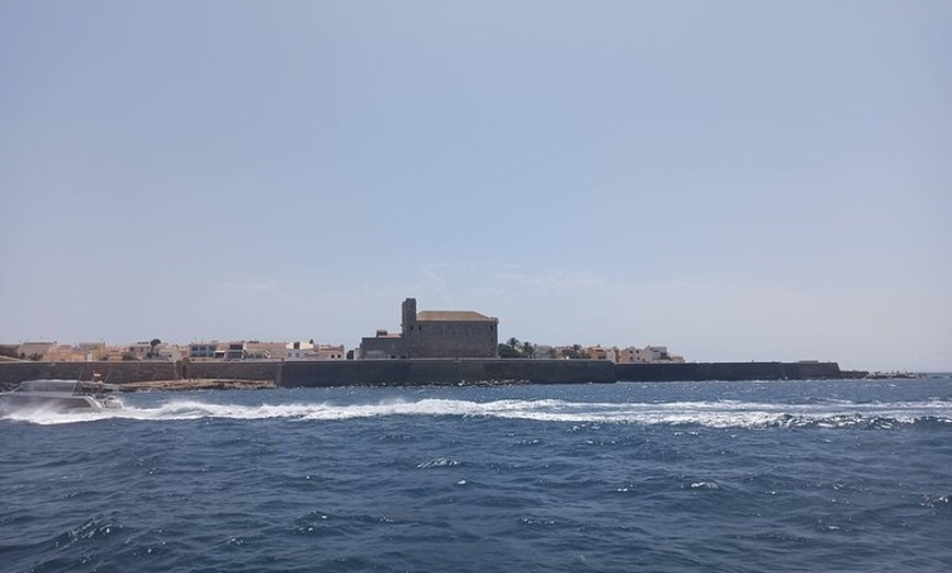Image 5: Desde Torrevieja a Tabarca, Santa Pola y entrada a la Laguna Rosa