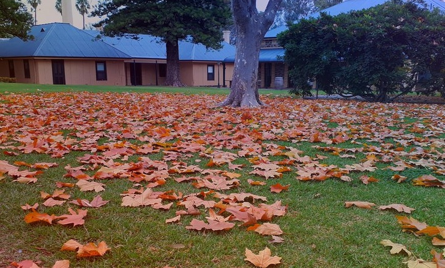 Image 10: Barossa Private Wine Tour