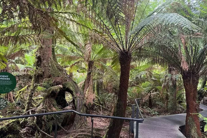 Small Group Great Ocean Road Full Day Tour Lunch Included