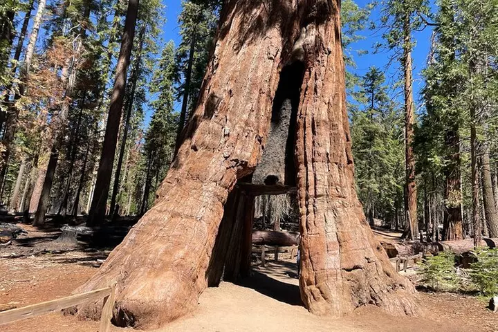 Yosemite National Park & Sequoias Private Tour from San Francisco