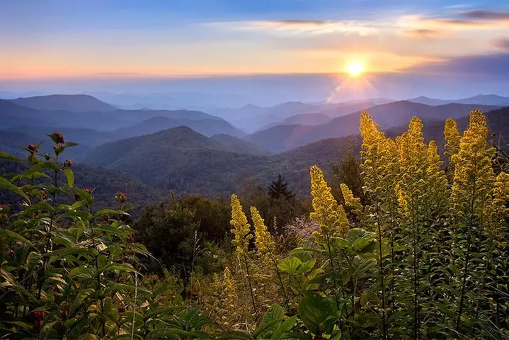 Custom Half-Day Photo Tour with Photography Lessons from Asheville