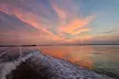 1 Hour Private Dolphin and Nature Tour - Second Medium