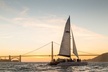 San Francisco City Lights Sail - Second Medium