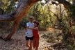 Sedona & Oak Creek Canyon 2-Hour Private Tours - Second Medium