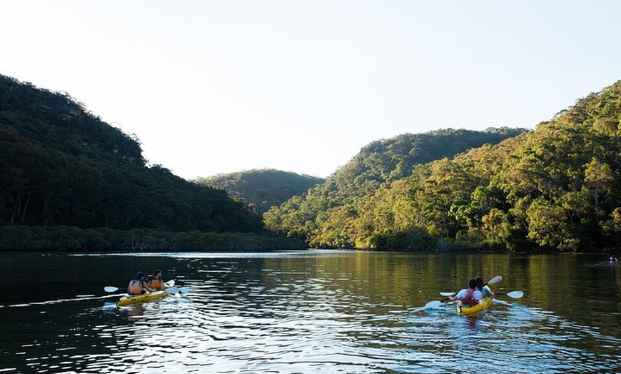 Image 4: Pittwater Discovery Kayaking Tour