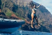 4hr Premium Morning Na Pali Adventure & Snorkel tour - Second Medium