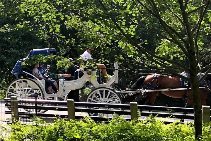 NYC Central Park Horse and Carriage Ride: Long Ride 45 min