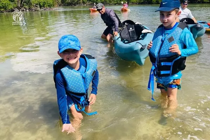 Kayak Tour Adventure Marco Island and Naples Florida