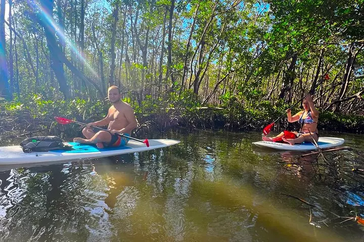 Self Guided Standup Paddle Board EcoTour -Bonita Springs