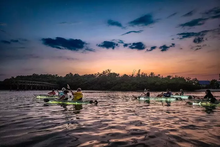 Anna Maria Island - Clear Kayak LED Night Glass Bottom Tour