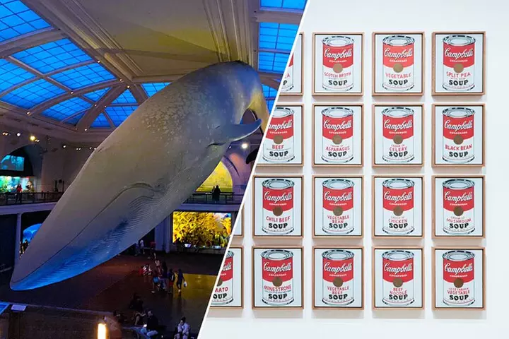 American Museum of Natural History and MOMA Combo Tickets - Primary Image