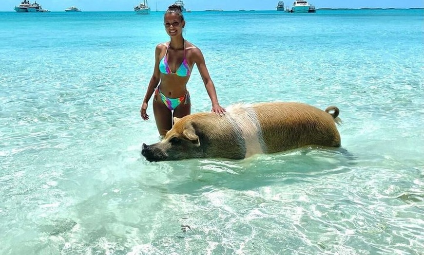 Image 6: Ultimate Exuma Cays Experience: Full-Day Group Tour from Nassau