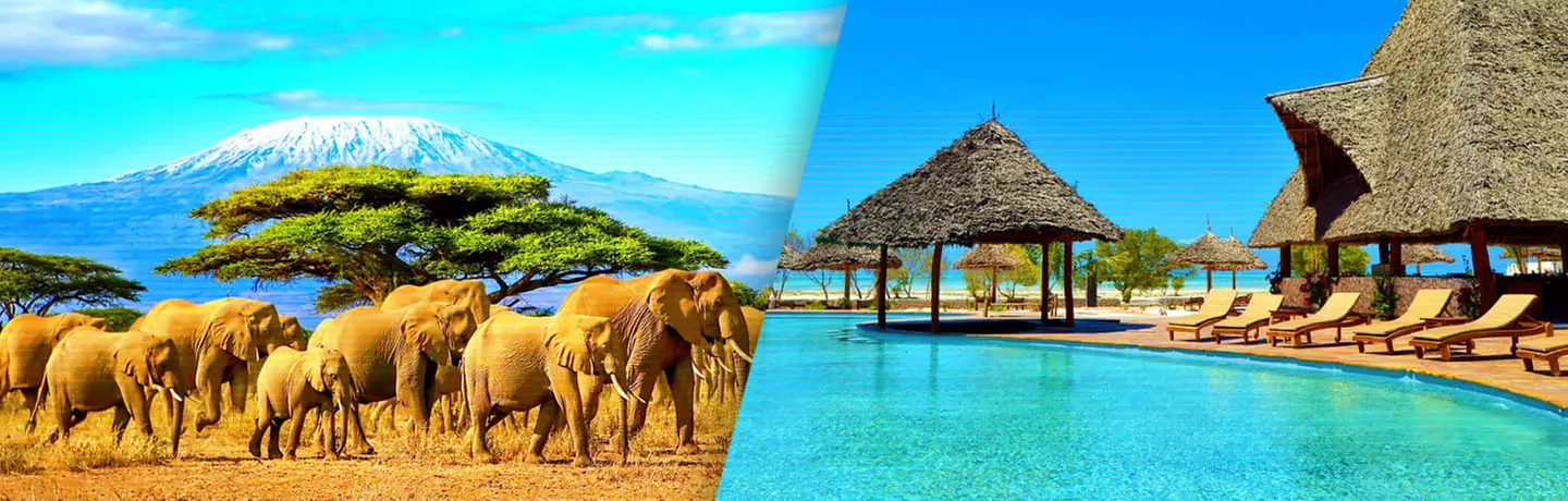 ✈ TANSANIA | Von Tansania nach Sansibar - Safari & Badeurlaub im White Paradise 4* - Safari - Primary Image