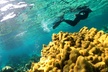 All-inclusive day-trip from Nassau to Andros Bahamas - Second Medium