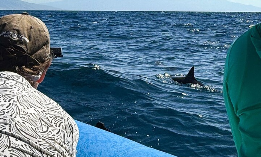 Image 35: Maui to Lanai Semi-Private Eco Raft Snorkel and/or Dolphin Tour