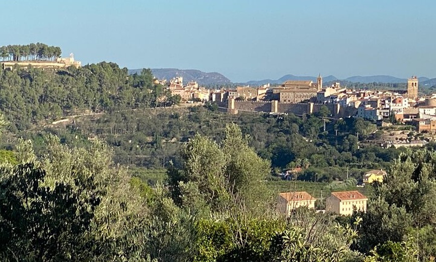 Image 41: Visita Teatro Castillo de Sagunto Vino Romano de Valencia