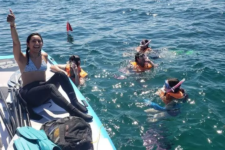 Beginner Friendly Island Snorkeling