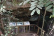Guided Primeval Nature Walk Tour in Primeval Forest National Park - Second Medium