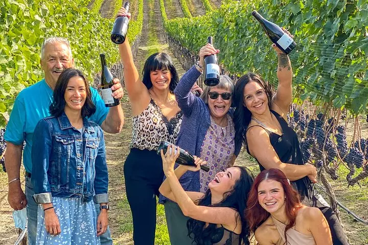 Wine Tour Experience In Lake Country 5 Wineries - Primary Image