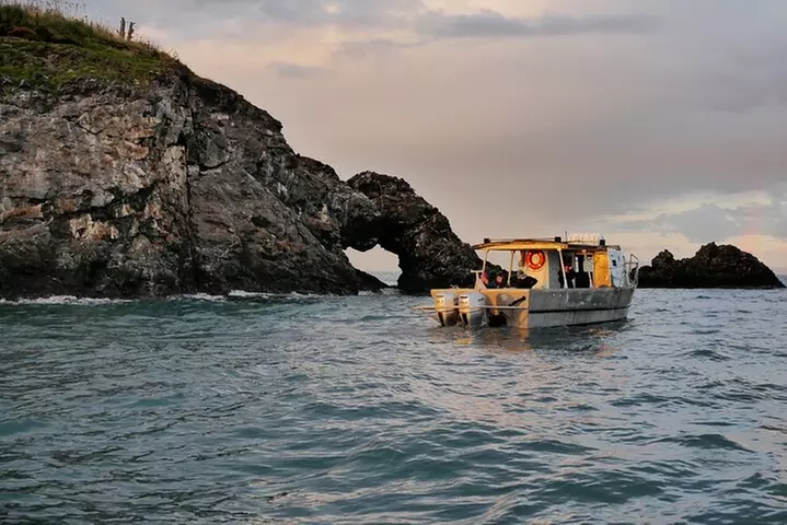 Kachemak Bay Wildlife Tour - Primary Image