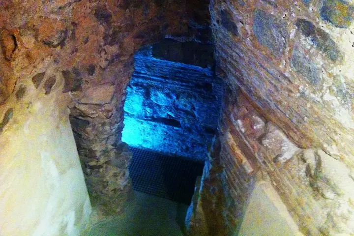 Visita Subterránea - Primary Image