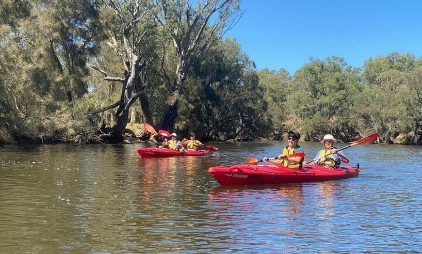Image 3: 4 Hours Swan Valley Kayak, Wine & Dine Experience