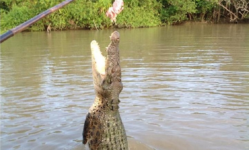 Image 5: Litchfield National Park and Jumping Crocodile Cruise