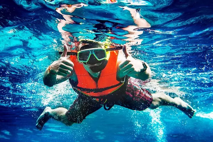 Flippers Adventures 2 Stop Snorkeling and Dolphin Cruise - Primary Image