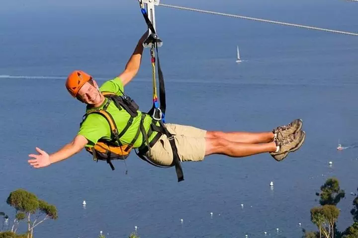 Catalina Island Trip with Zipline Eco Tour and Hotel Transfers - Primary Image