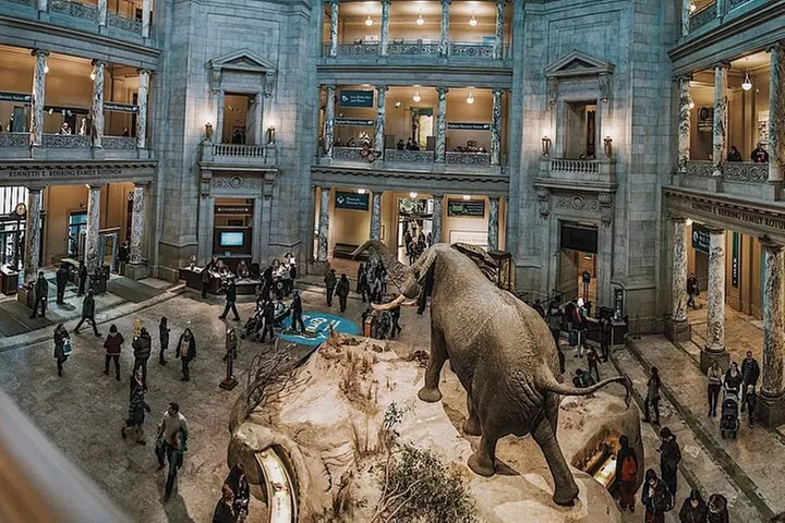 Smithsonian Natural History + American History - Exclusive Tour