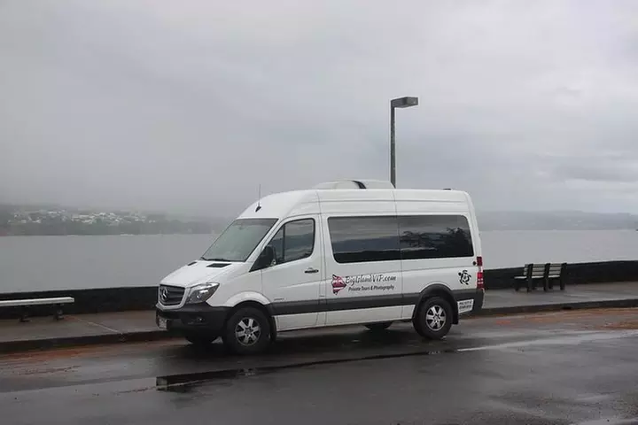 Private Tour from Hilo to Hawaii Volcanoes Natl Park Mercedes Van