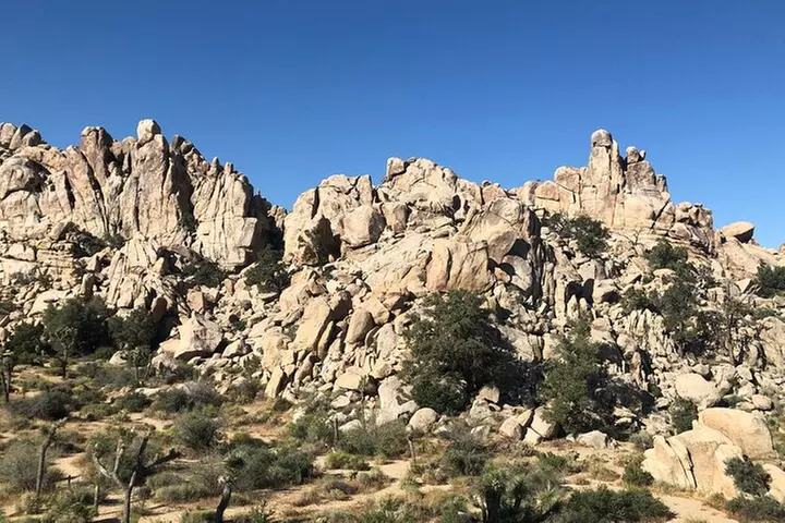 Joshua Tree National Park Self-Guided Driving Audio Tour